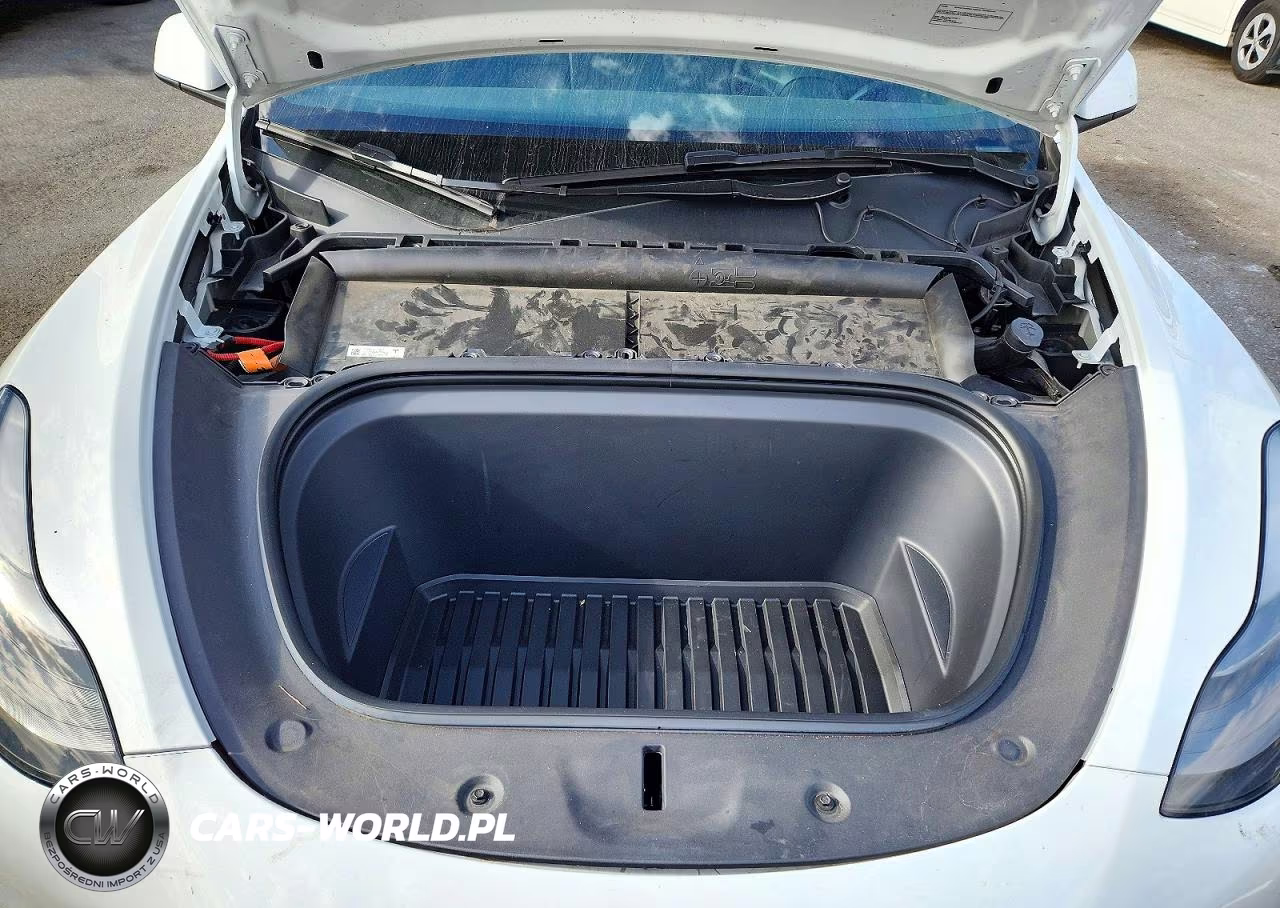 2024 Tesla Model Y VIN:7SAYGDEE2RA259436 - 11