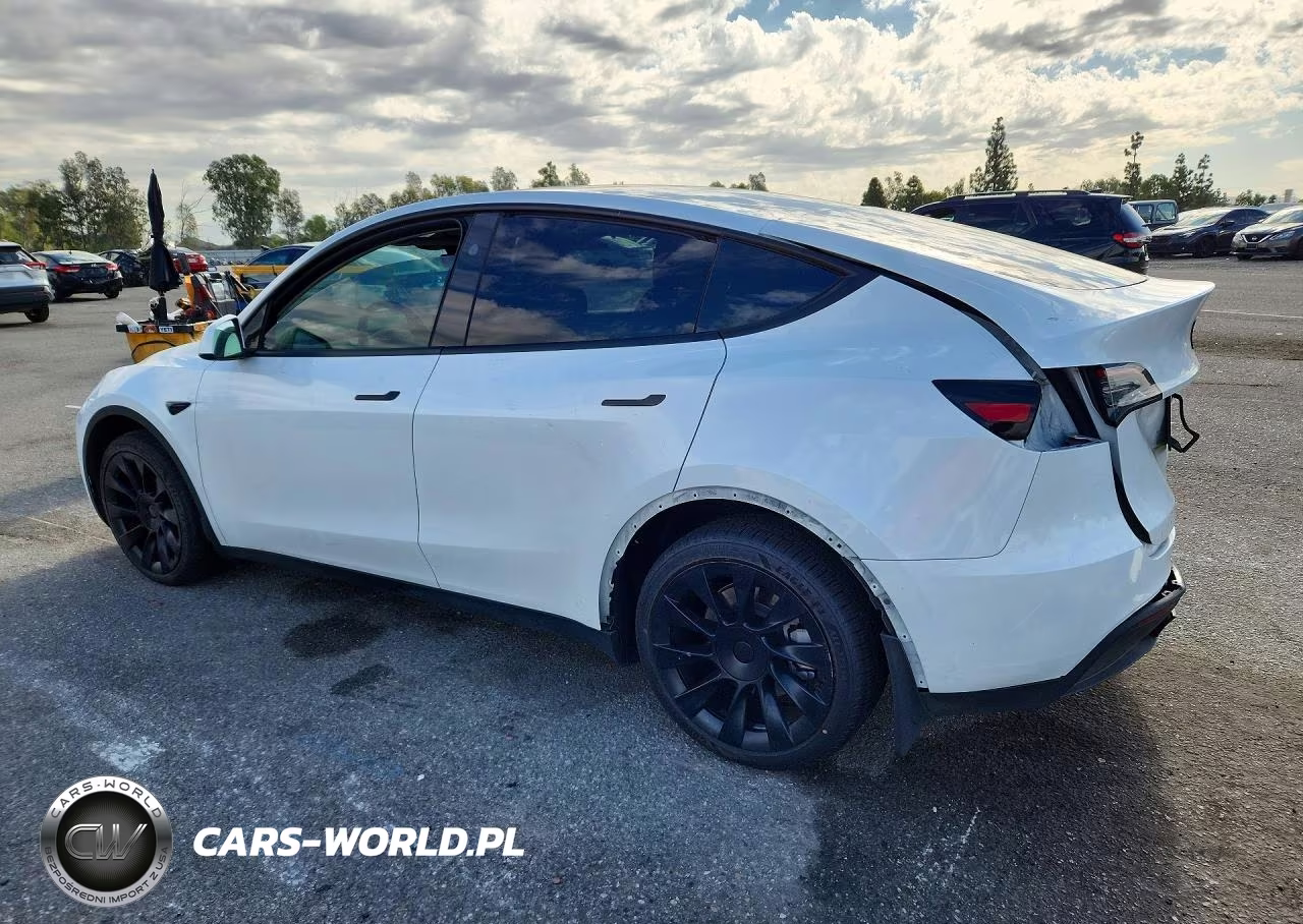 2024 Tesla Model Y VIN:7SAYGDEE2RA259436 - 2
