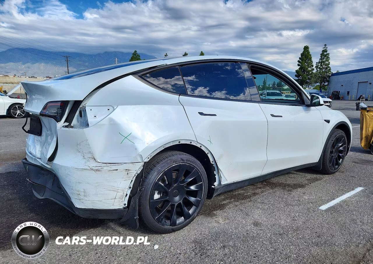 2024 Tesla Model Y VIN:7SAYGDEE2RA259436 - 3
