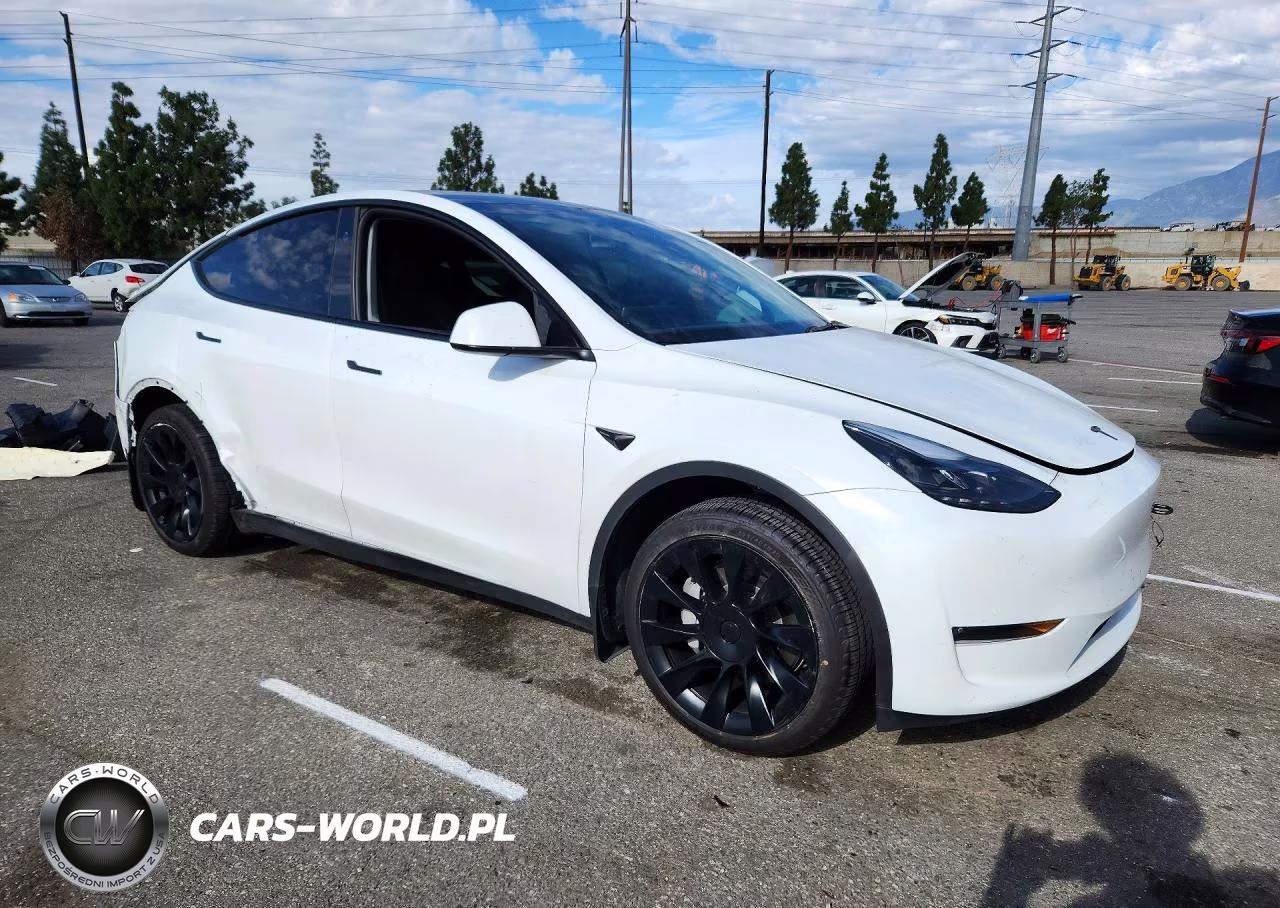 2024 Tesla Model Y VIN:7SAYGDEE2RA259436 - 4