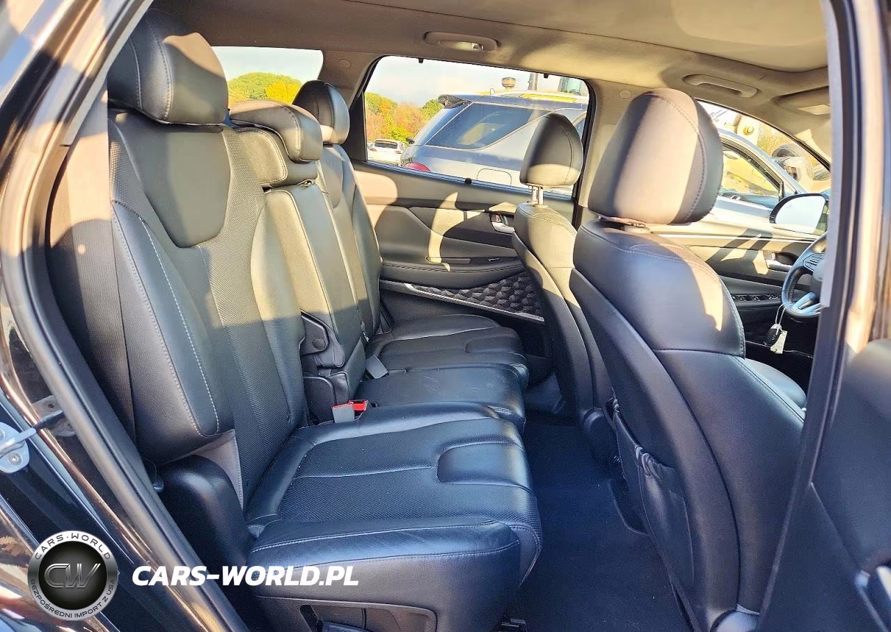 2019 Hyundai Santa Fe Limited 2.0T VIN:5NMS5CAA9KH113970 - 11