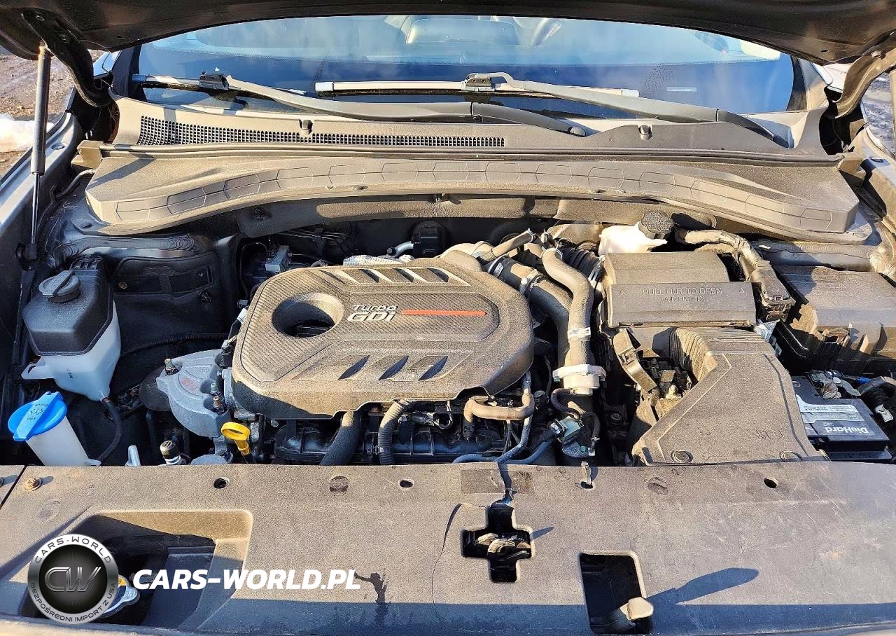 2019 Hyundai Santa Fe Limited 2.0T VIN:5NMS5CAA9KH113970 - 12