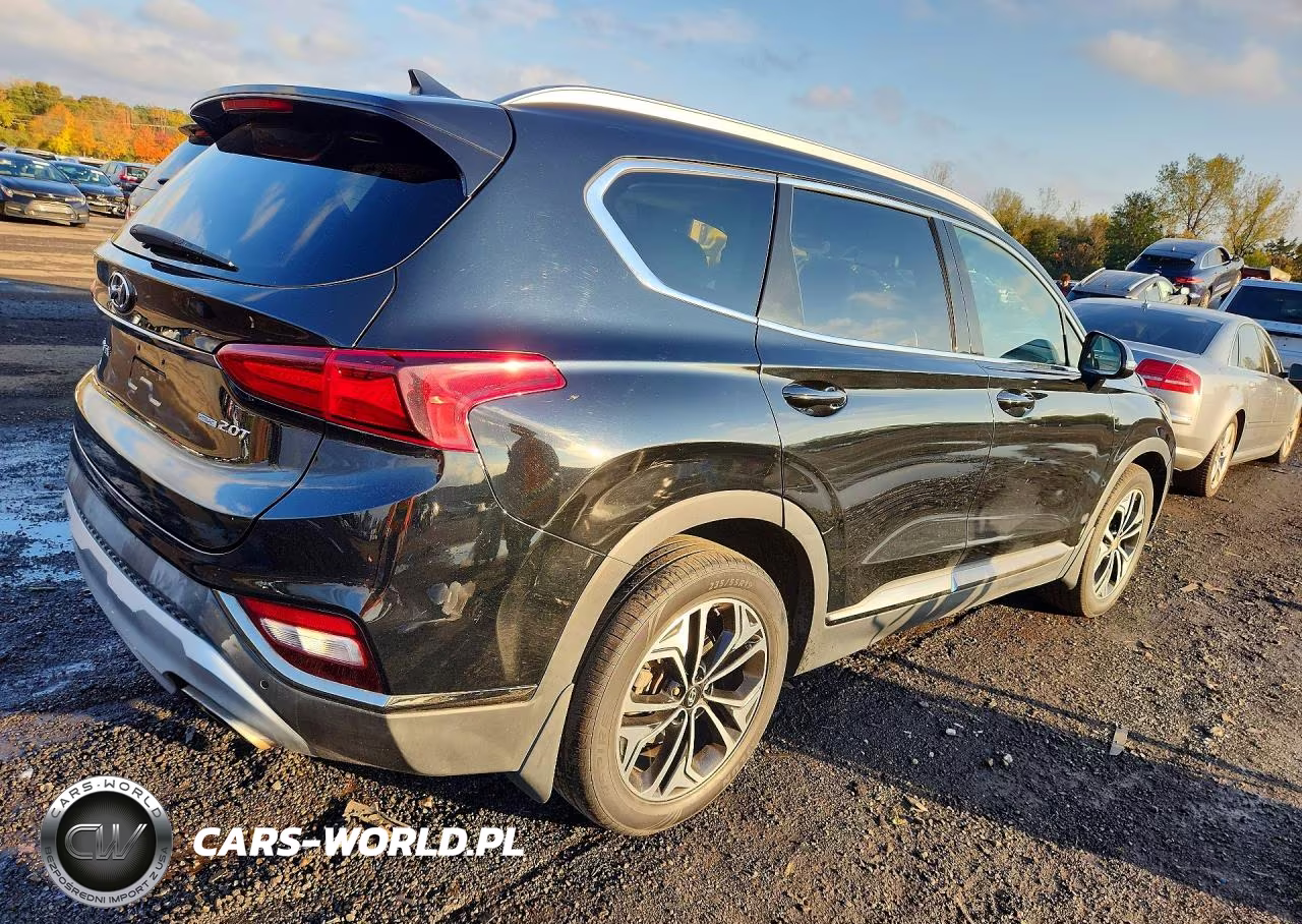 2019 Hyundai Santa Fe Limited 2.0T VIN:5NMS5CAA9KH113970 - 3