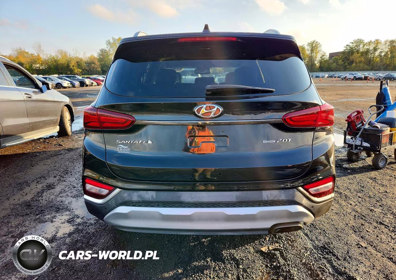 2019 Hyundai Santa Fe Limited 2.0T VIN:5NMS5CAA9KH113970 - 6