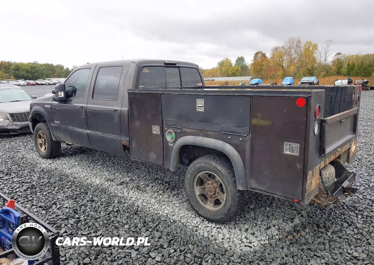 2006 Ford F250 Super Duty VIN:1FTSW21P56EB84068 - 2
