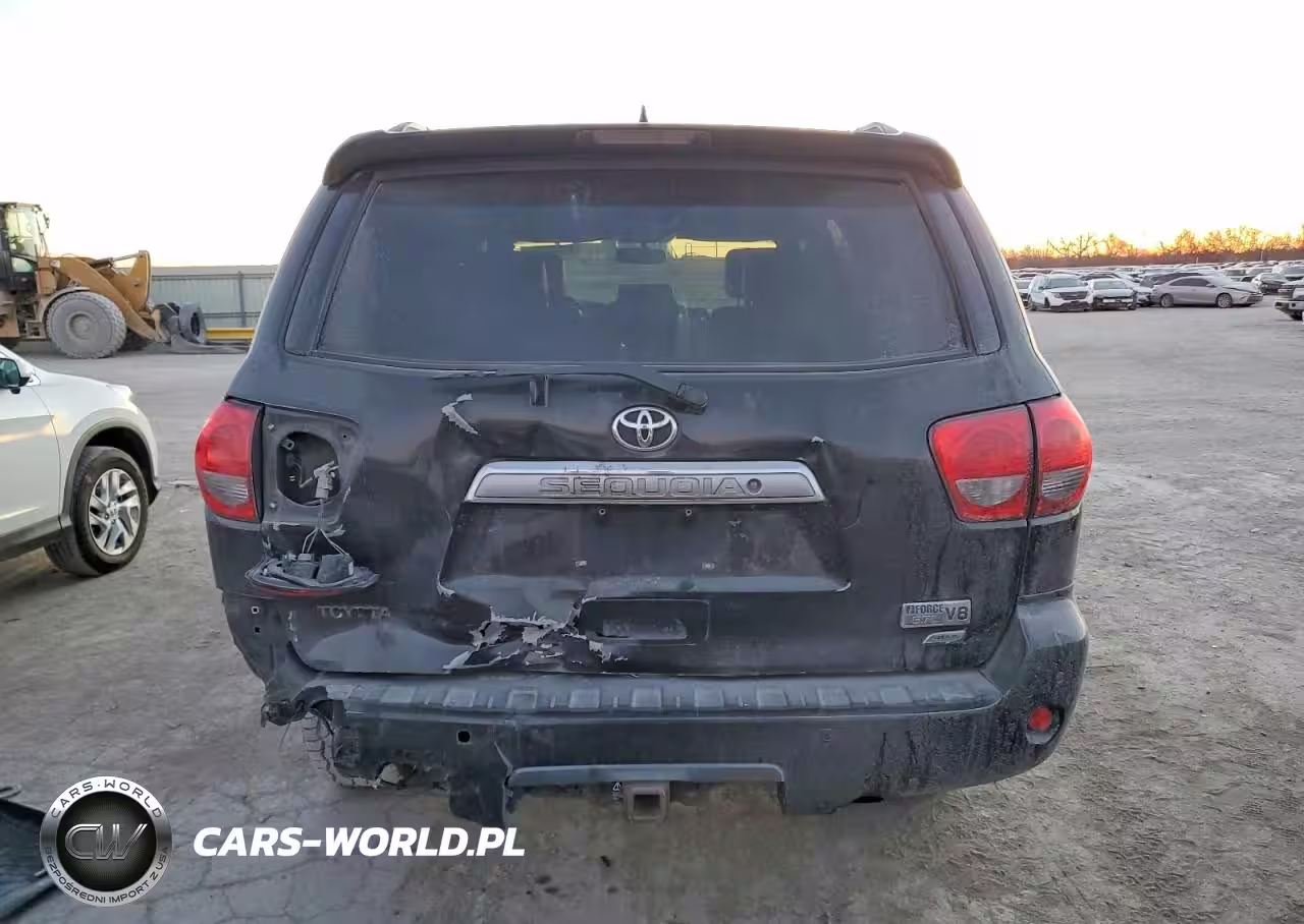 2010 Toyota Sequoia Limited VIN:5TDJW5G1XAS032838 - 6