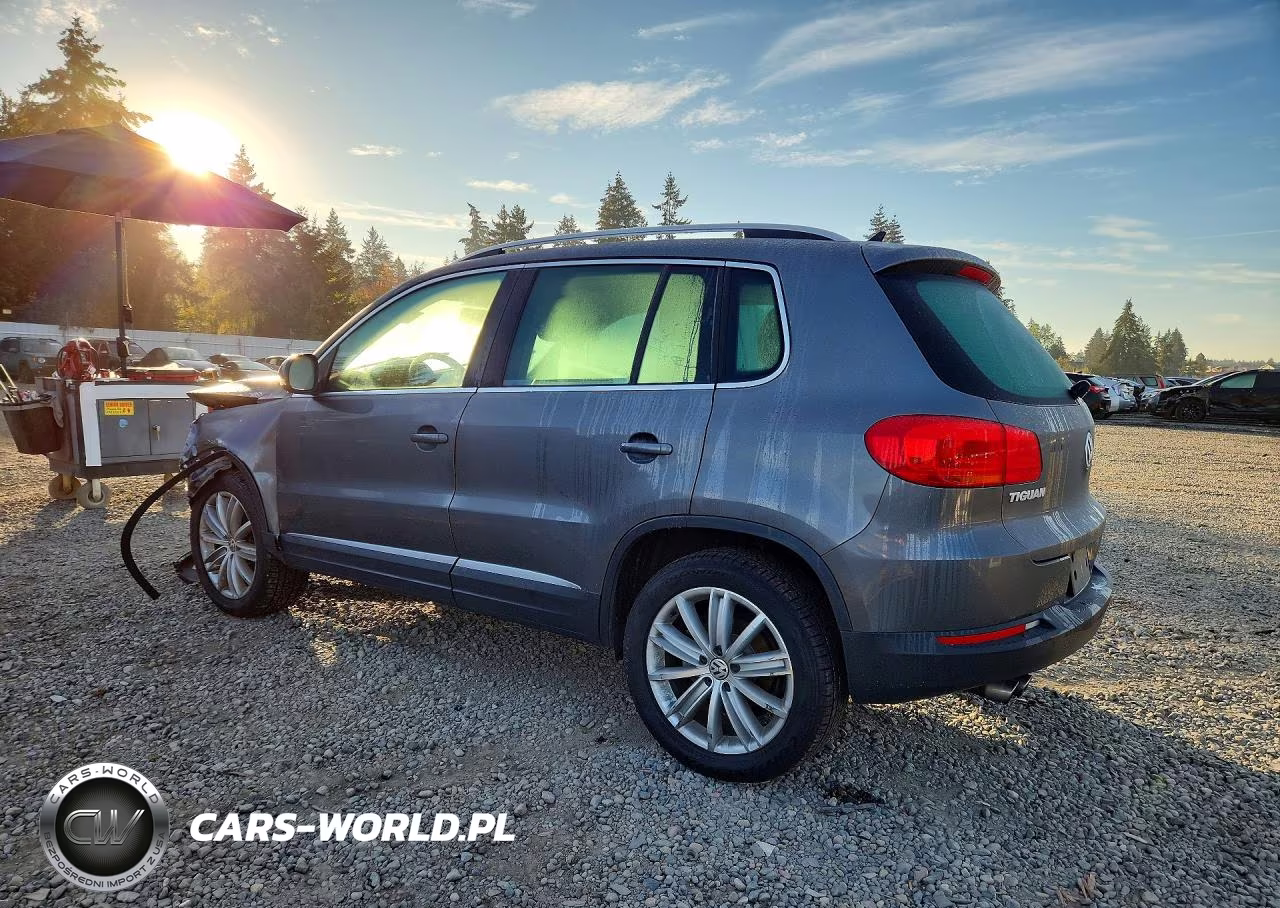 2012 Volkswagen Tiguan S VIN:WVGAV7AX2CW000282 - 2