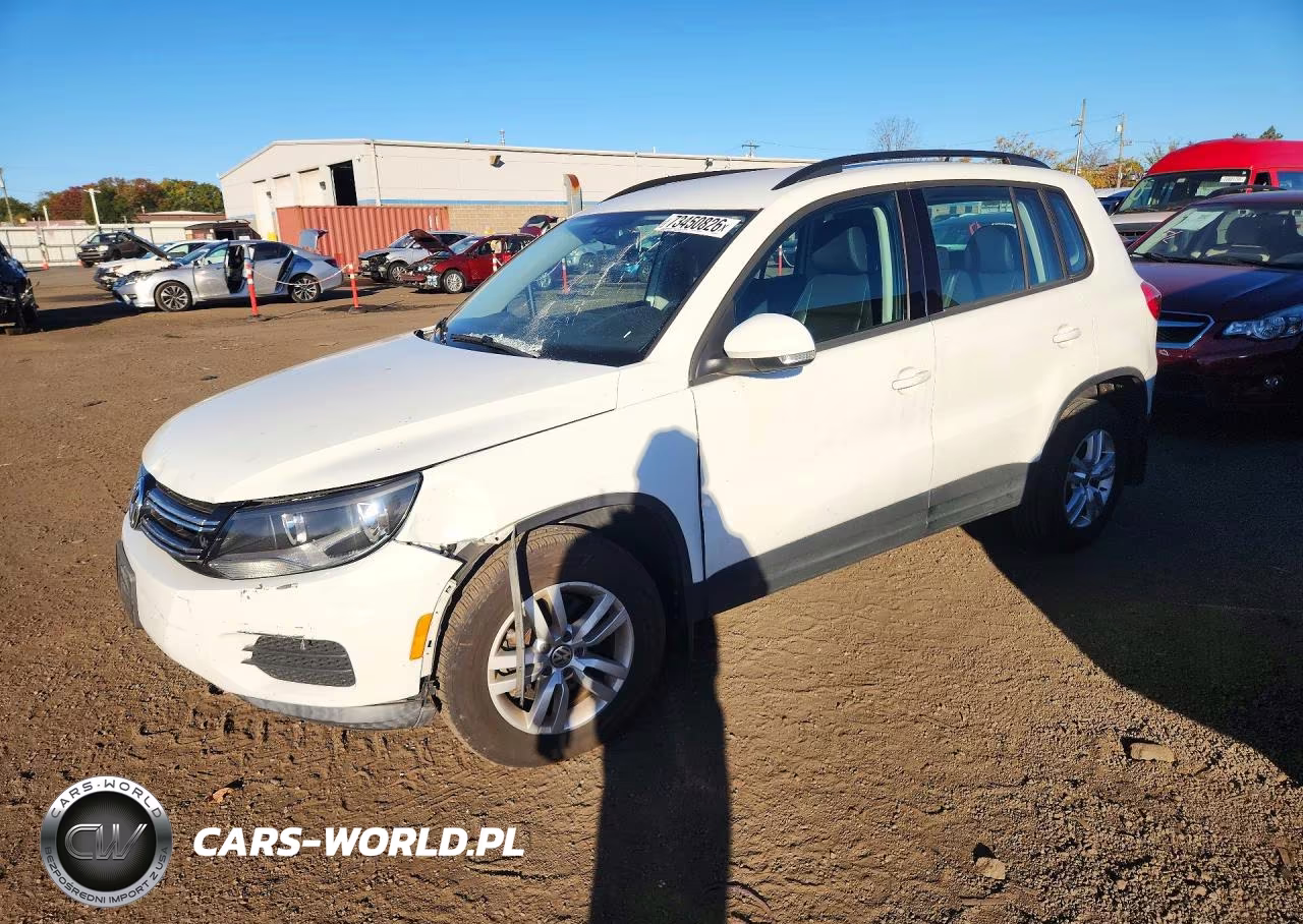 2016 Volkswagen Tiguan S VIN:WVGBV7AX7GW541502 - 1