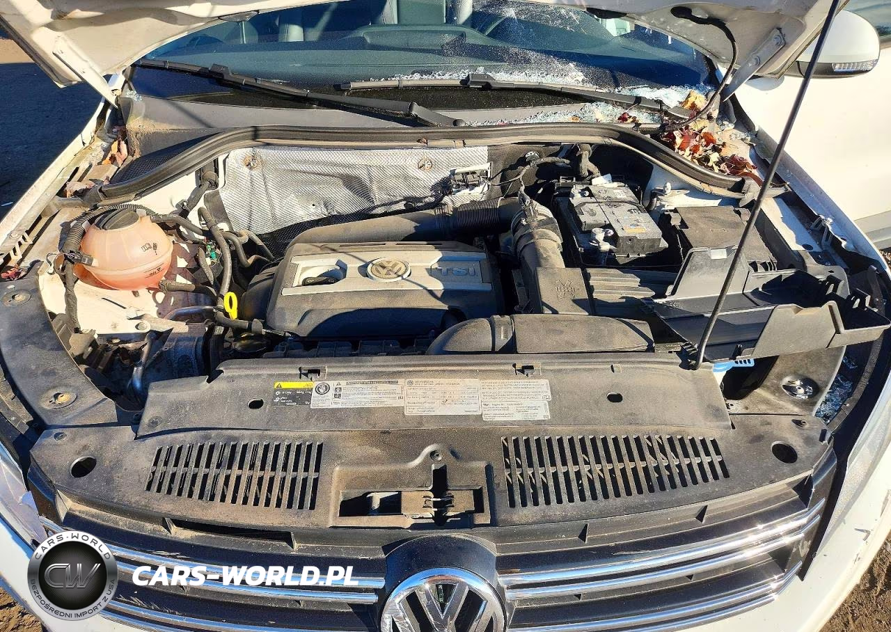 2016 Volkswagen Tiguan S VIN:WVGBV7AX7GW541502 - 12