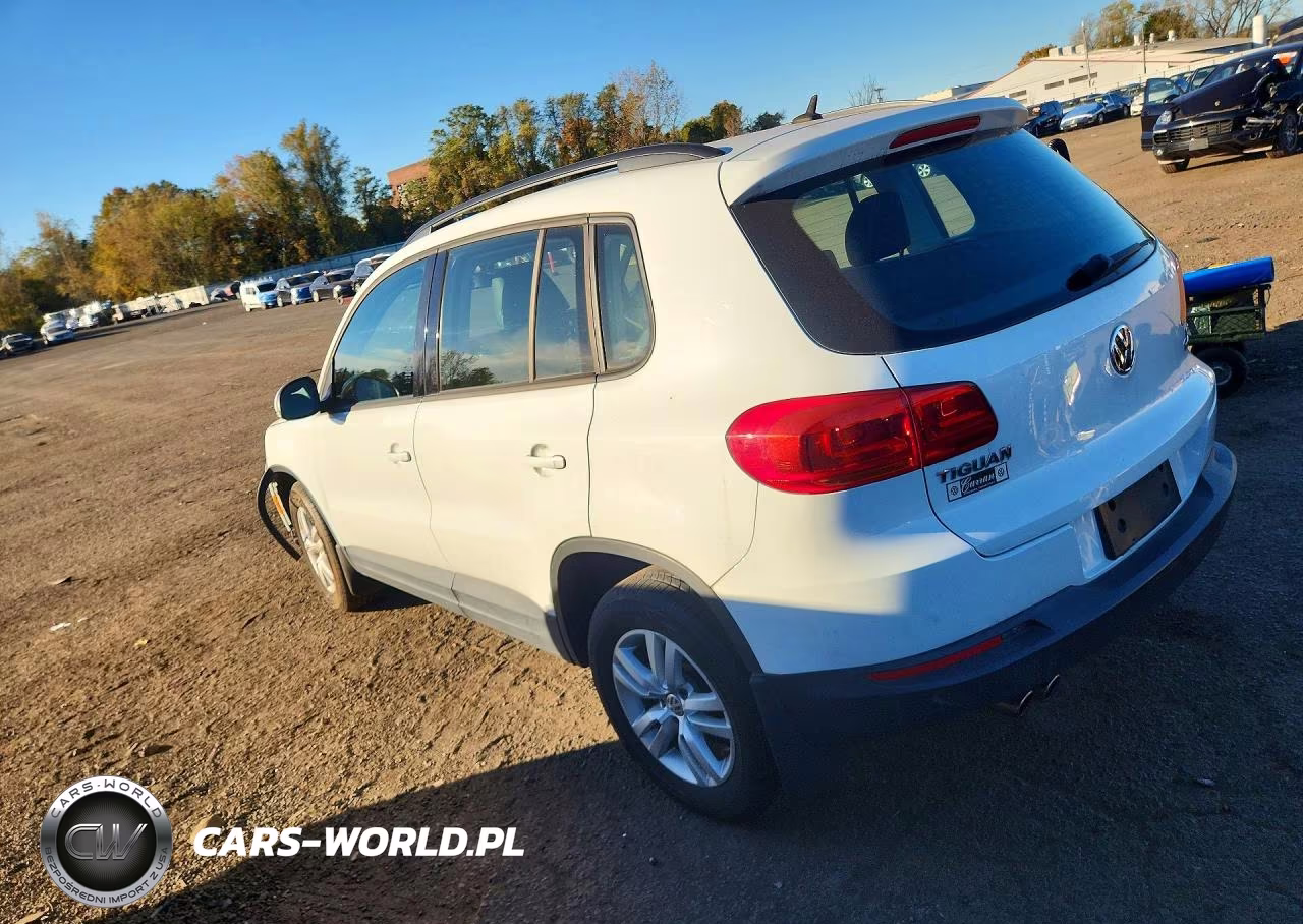 2016 Volkswagen Tiguan S VIN:WVGBV7AX7GW541502 - 2