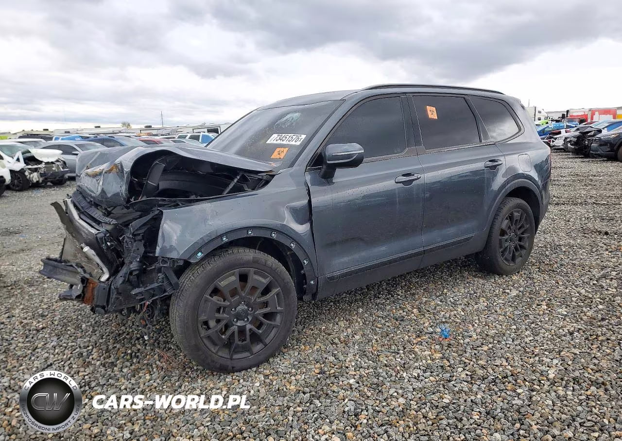 2021 Kia Telluride Ex VIN:5XYP3DHC2MG177046 - 1