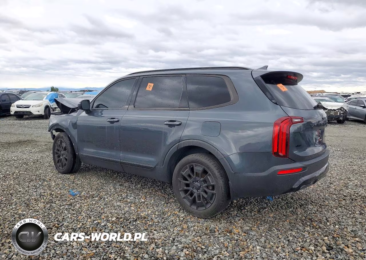 2021 Kia Telluride Ex VIN:5XYP3DHC2MG177046 - 2