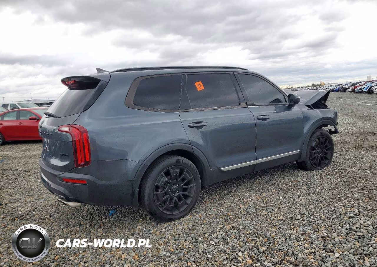 2021 Kia Telluride Ex VIN:5XYP3DHC2MG177046 - 3