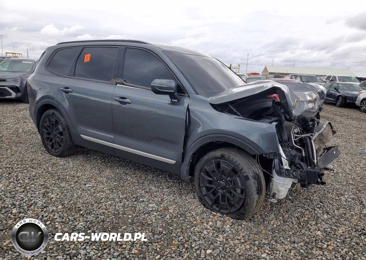 2021 Kia Telluride Ex VIN:5XYP3DHC2MG177046 - 4