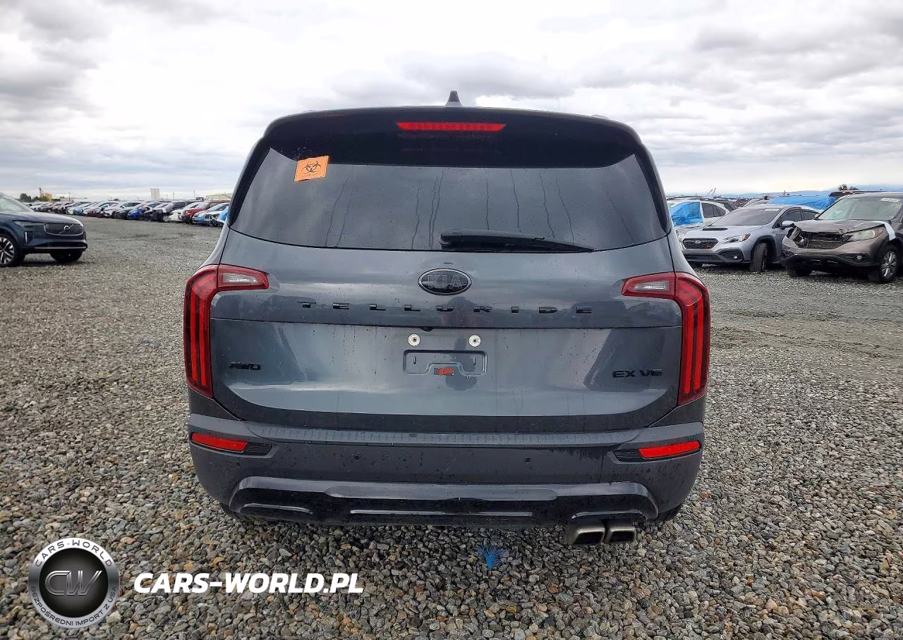 2021 Kia Telluride Ex VIN:5XYP3DHC2MG177046 - 6