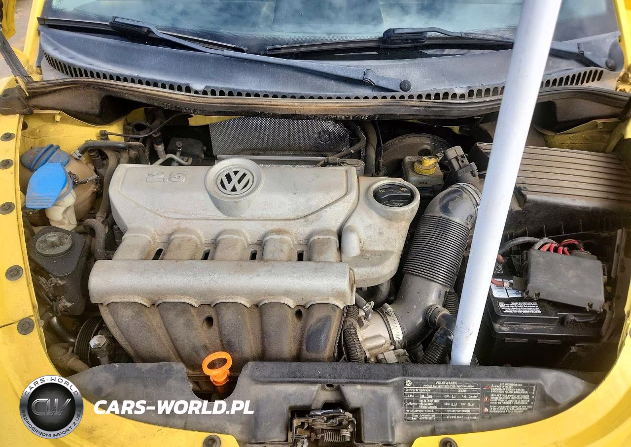 2010 Volkswagen New Beetle VIN:3VWPW3AG2AM029599 - 11