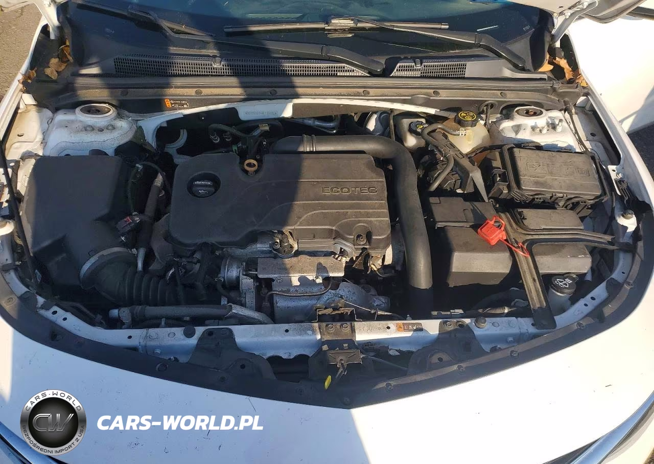 2019 Chevrolet Malibu Lt VIN:1G1ZD5ST4KF114186 - 11