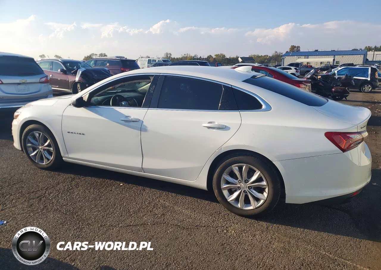 2019 Chevrolet Malibu Lt VIN:1G1ZD5ST4KF114186 - 2