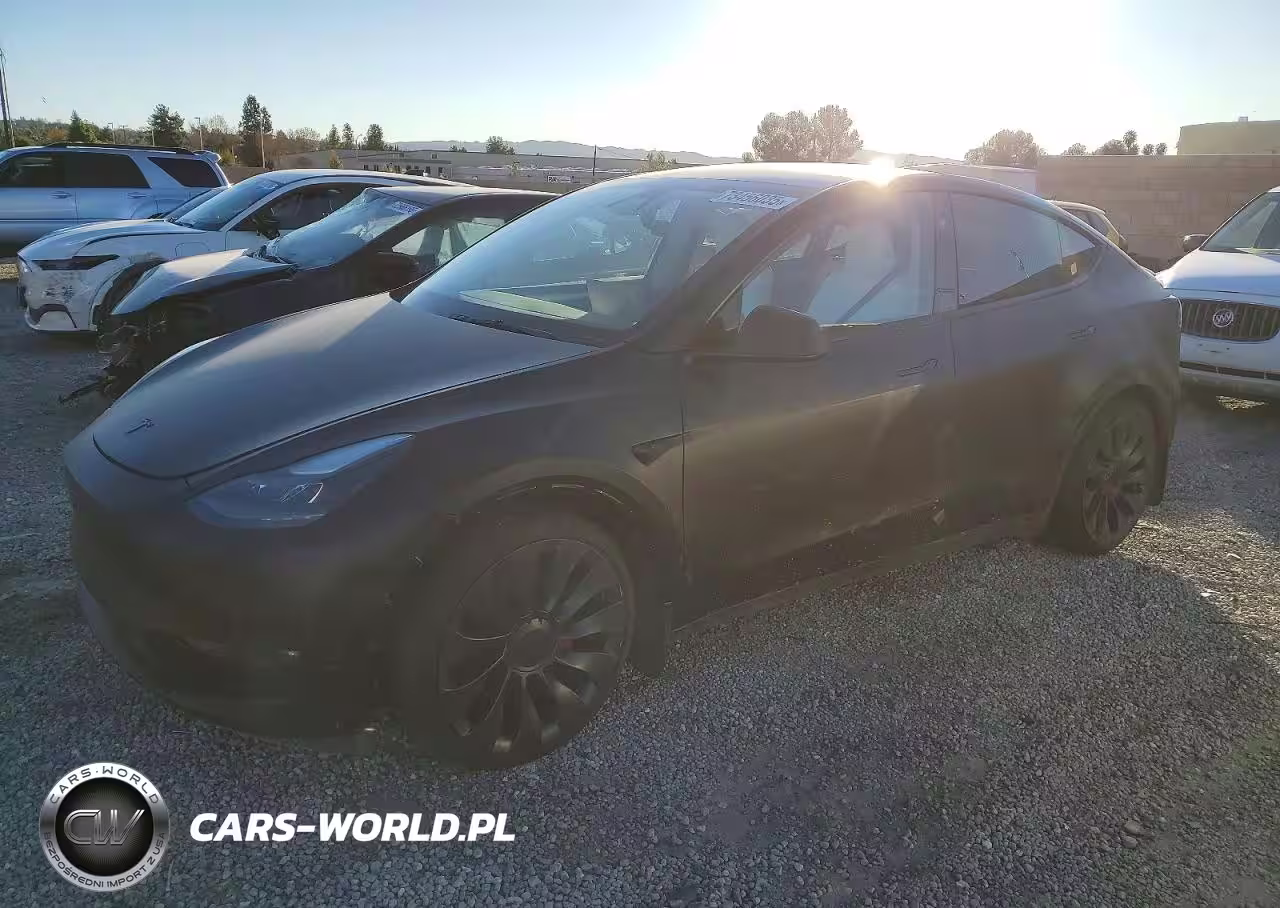 2024 Tesla Model Y