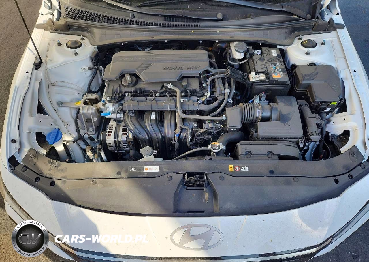 2025 Hyundai Elantra Limited VIN:KMHLP4DG9SU029768 - 11