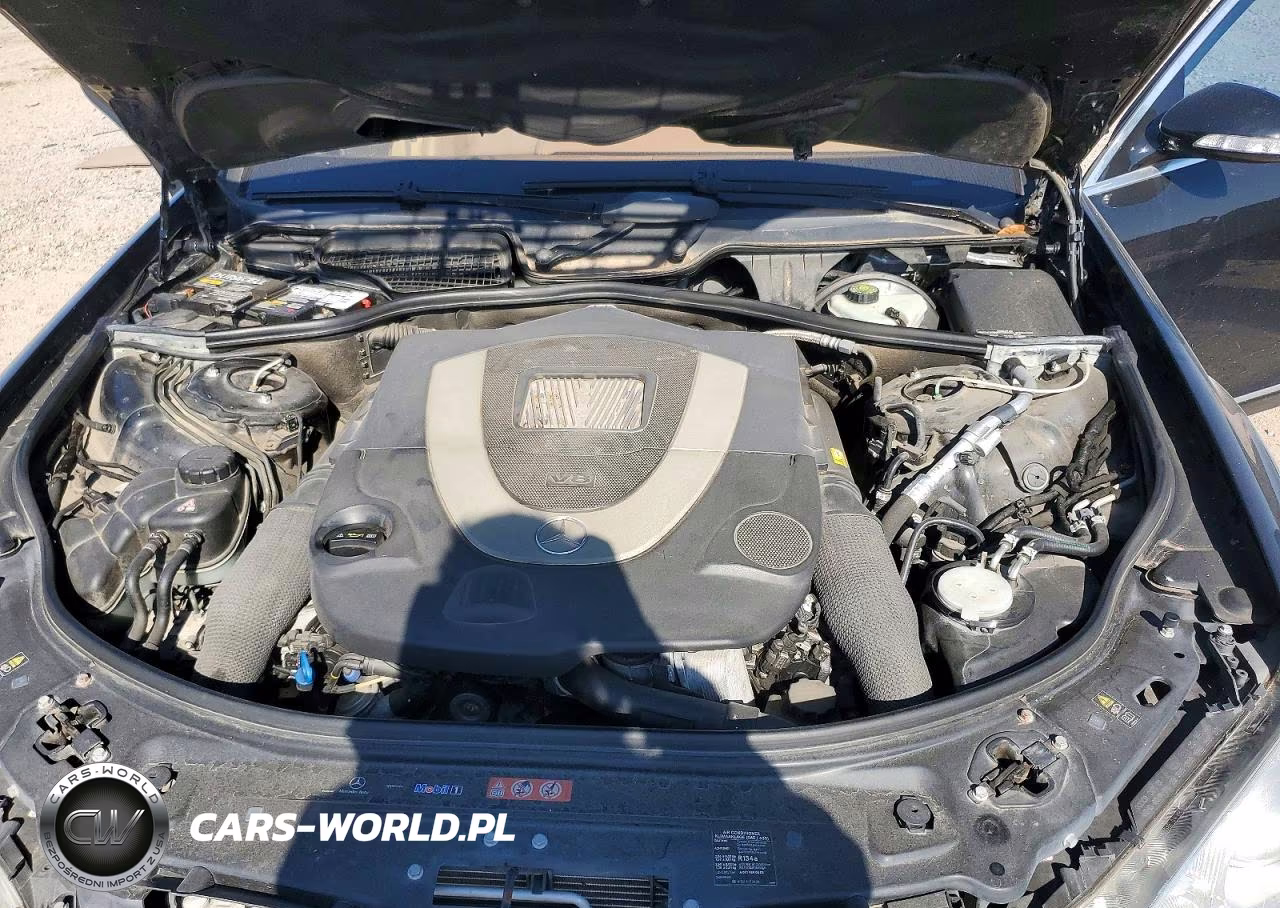 2009 Mercedes-Benz S 550 VIN:WDDNG71X09A283373 - 11