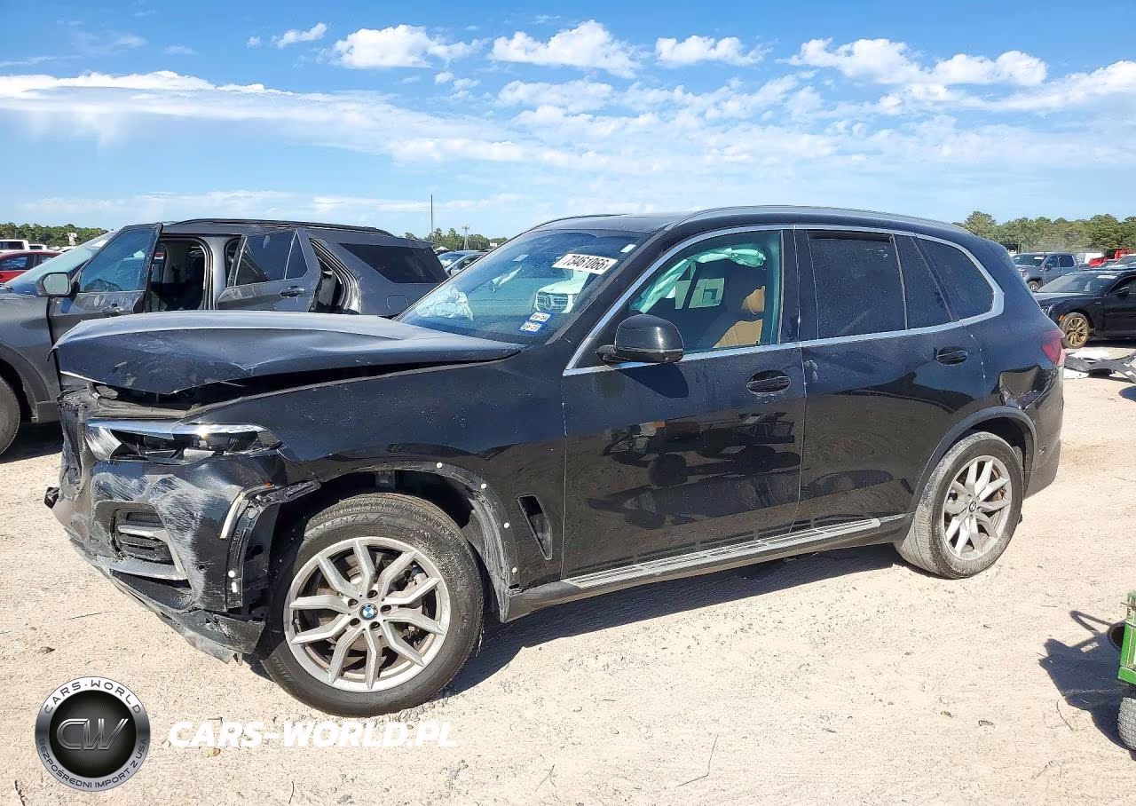 2023 BMW X5 Sdrive 40I VIN:5UXCR4C09P9P46294 - 1