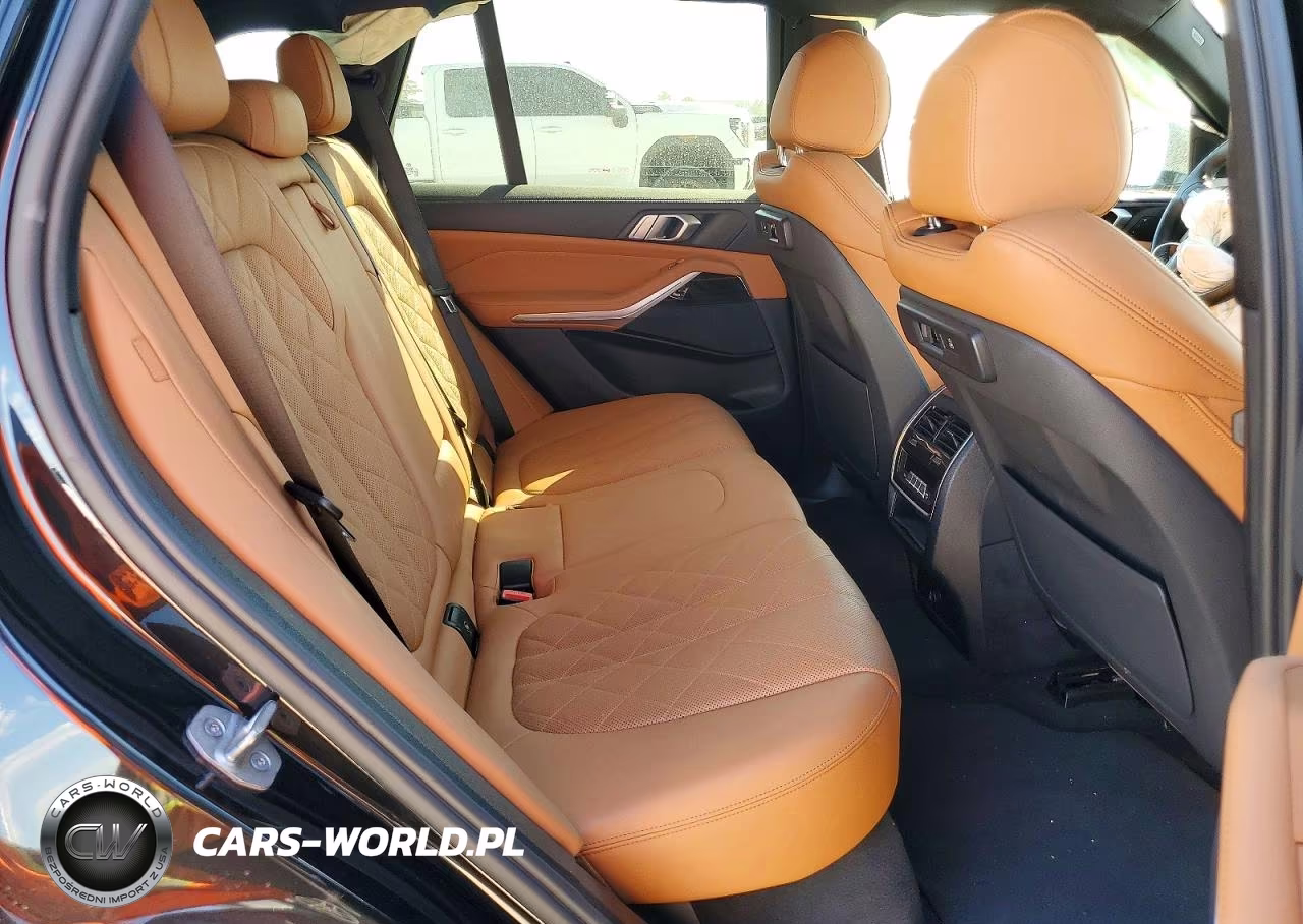 2023 BMW X5 Sdrive 40I VIN:5UXCR4C09P9P46294 - 10