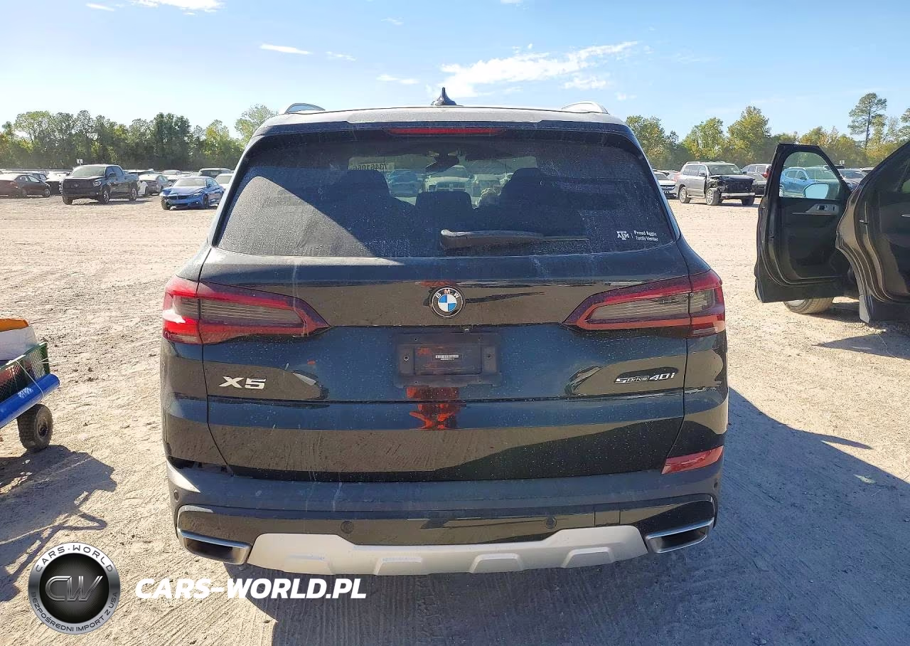 2023 BMW X5 Sdrive 40I VIN:5UXCR4C09P9P46294 - 6