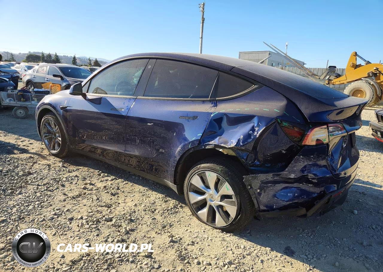 2022 Tesla Model Y VIN:7SAYGAEE7NF429320 - 2