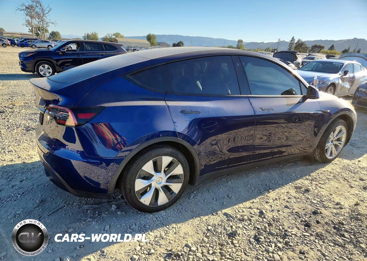 2022 Tesla Model Y VIN:7SAYGAEE7NF429320 - 3