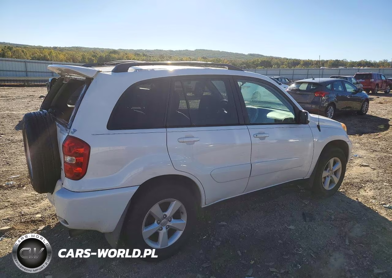 2004 Toyota Rav4 Base VIN:JTEHD20V540030093 - 3