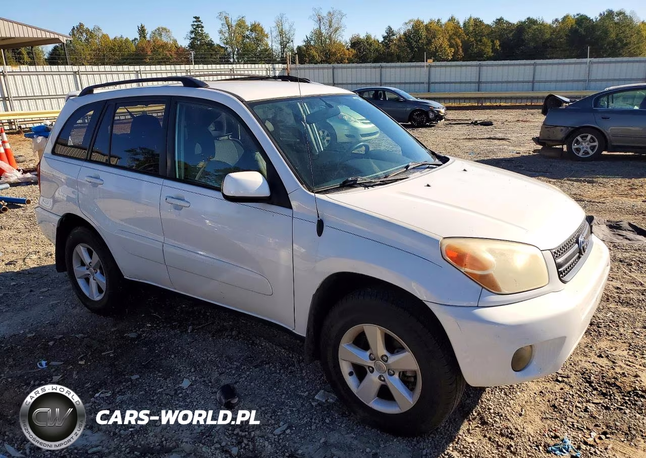 2004 Toyota Rav4 Base VIN:JTEHD20V540030093 - 4