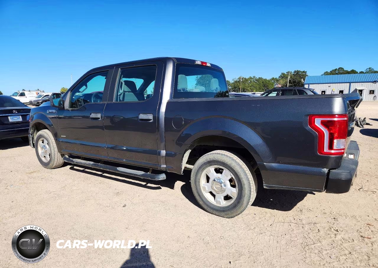 2016 Ford F150 Supercrew VIN:1FTEW1CPXGFD20839 - 2