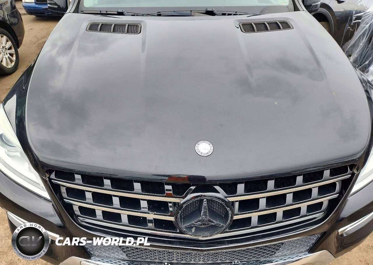 2015 Mercedes-Benz Ml 350 4Matic VIN:4JGDA5HB1FA497849 - 12