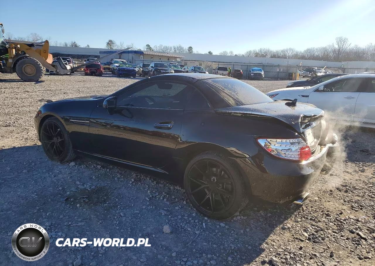 2013 Mercedes-Benz Slk 250 VIN:WDDPK4HA0DF072919 - 2