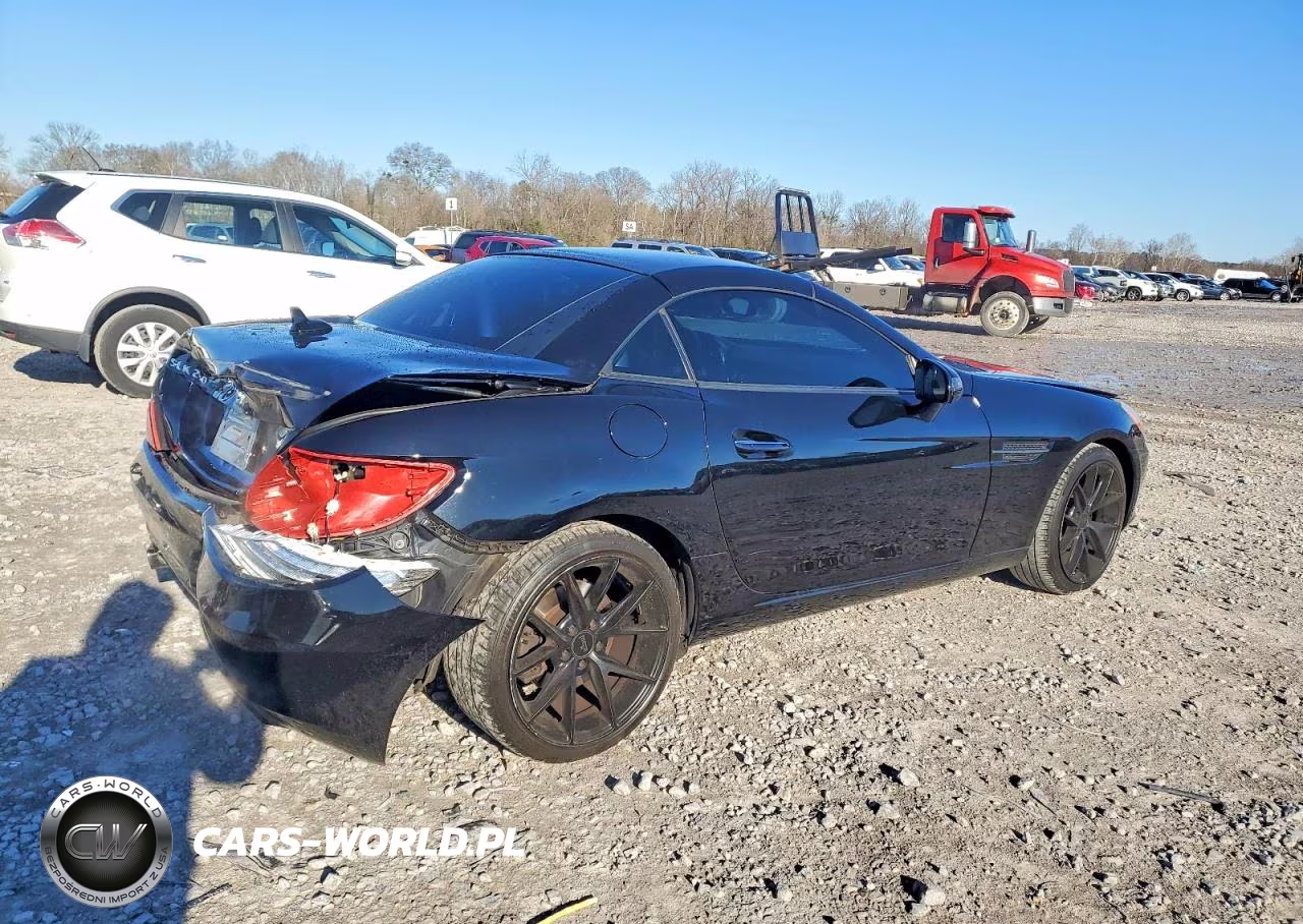 2013 Mercedes-Benz Slk 250 VIN:WDDPK4HA0DF072919 - 3