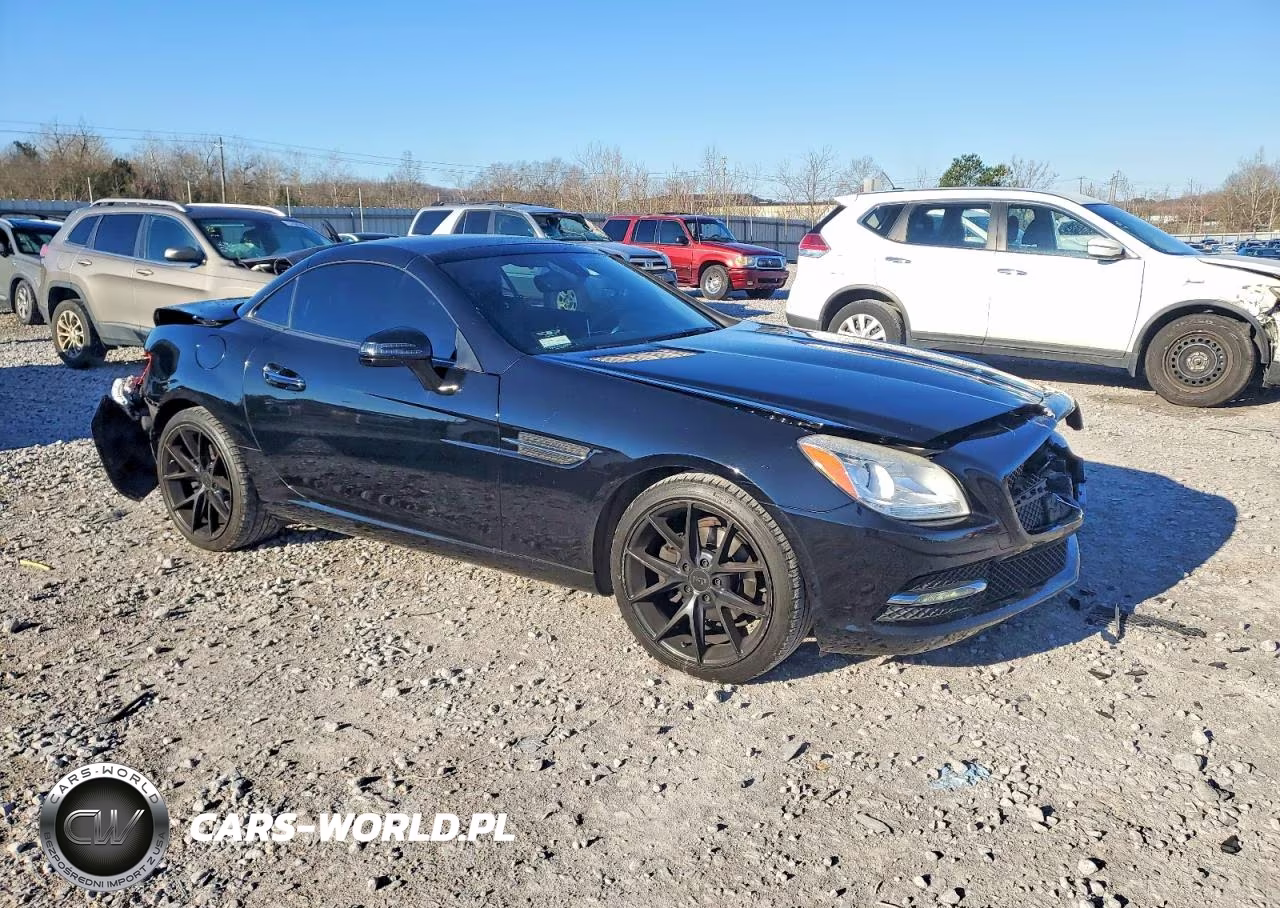 2013 Mercedes-Benz Slk 250 VIN:WDDPK4HA0DF072919 - 4