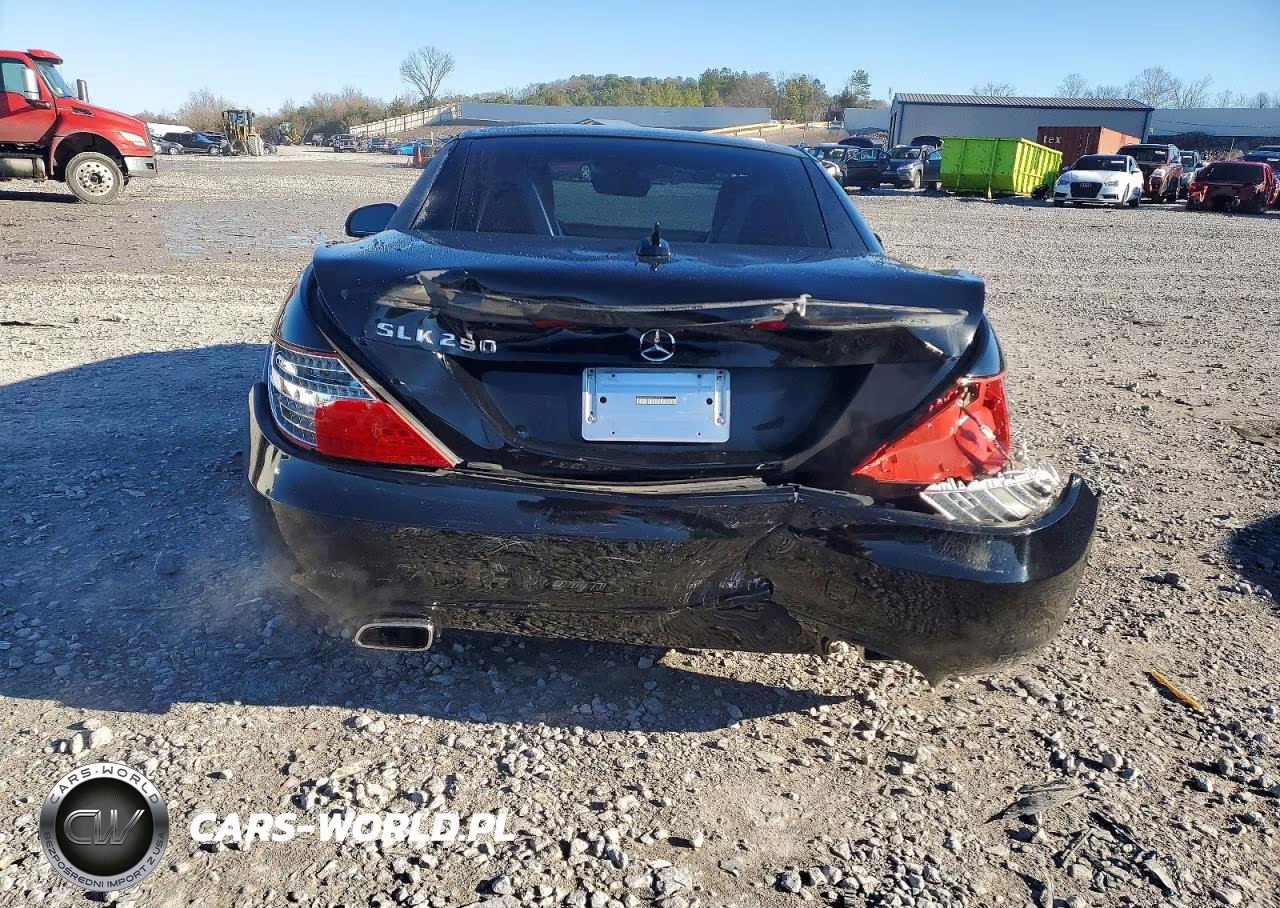 2013 Mercedes-Benz Slk 250 VIN:WDDPK4HA0DF072919 - 6
