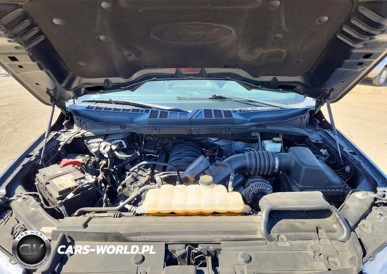 2021 Ford F150 Supercrew VIN:1FTFW1E54MKF09585 - 11