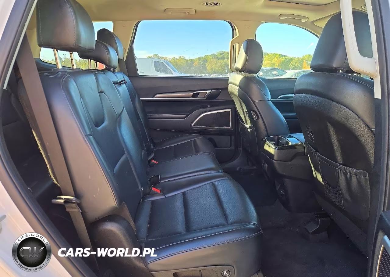 2020 Kia Telluride S VIN:5XYP6DHC6LG030749 - 11