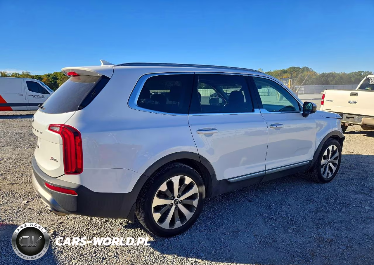 2020 Kia Telluride S VIN:5XYP6DHC6LG030749 - 3