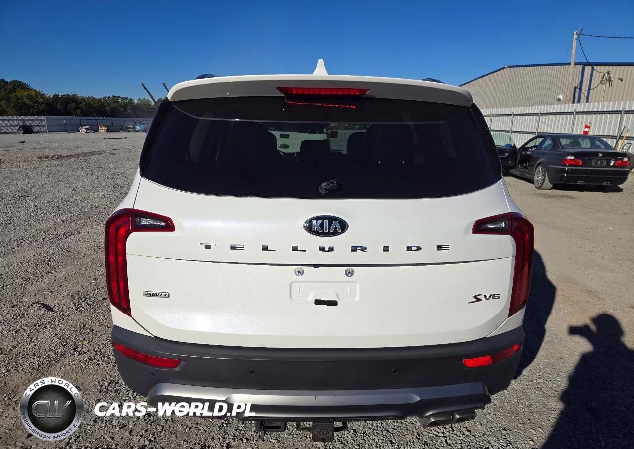 2020 Kia Telluride S VIN:5XYP6DHC6LG030749 - 6