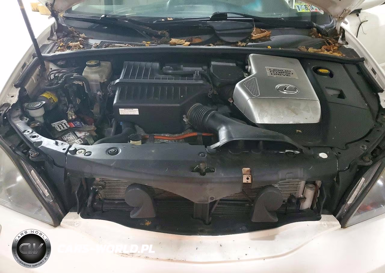 2008 Lexus Rx 400H VIN:JTJHW31U782051979 - 12