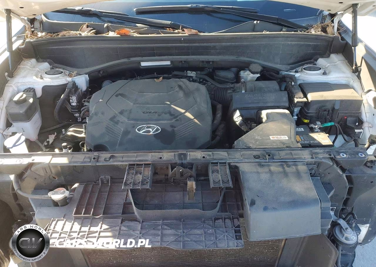 2023 Hyundai Palisade Calligraphy VIN:KM8R7DGE1PU507127 - 12