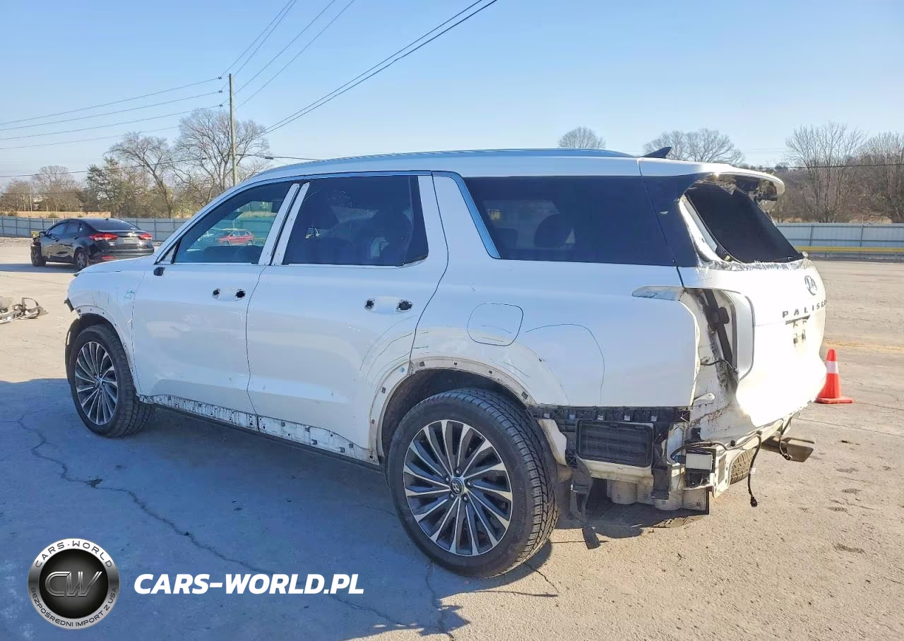 2023 Hyundai Palisade Calligraphy VIN:KM8R7DGE1PU507127 - 2