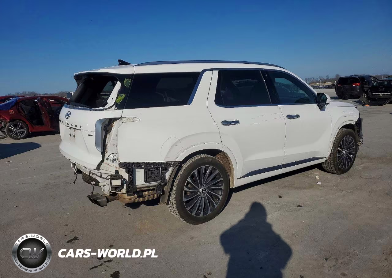 2023 Hyundai Palisade Calligraphy VIN:KM8R7DGE1PU507127 - 3