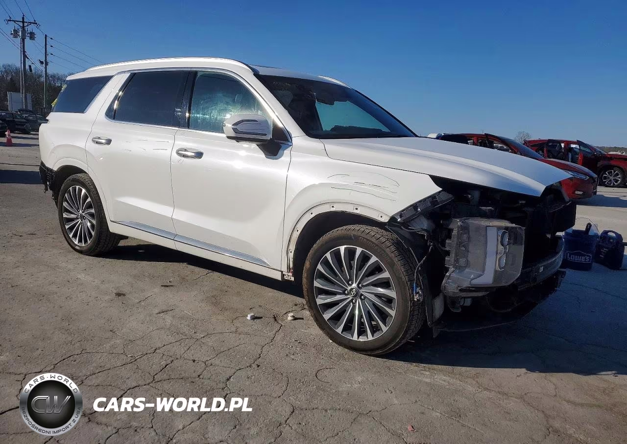 2023 Hyundai Palisade Calligraphy VIN:KM8R7DGE1PU507127 - 4