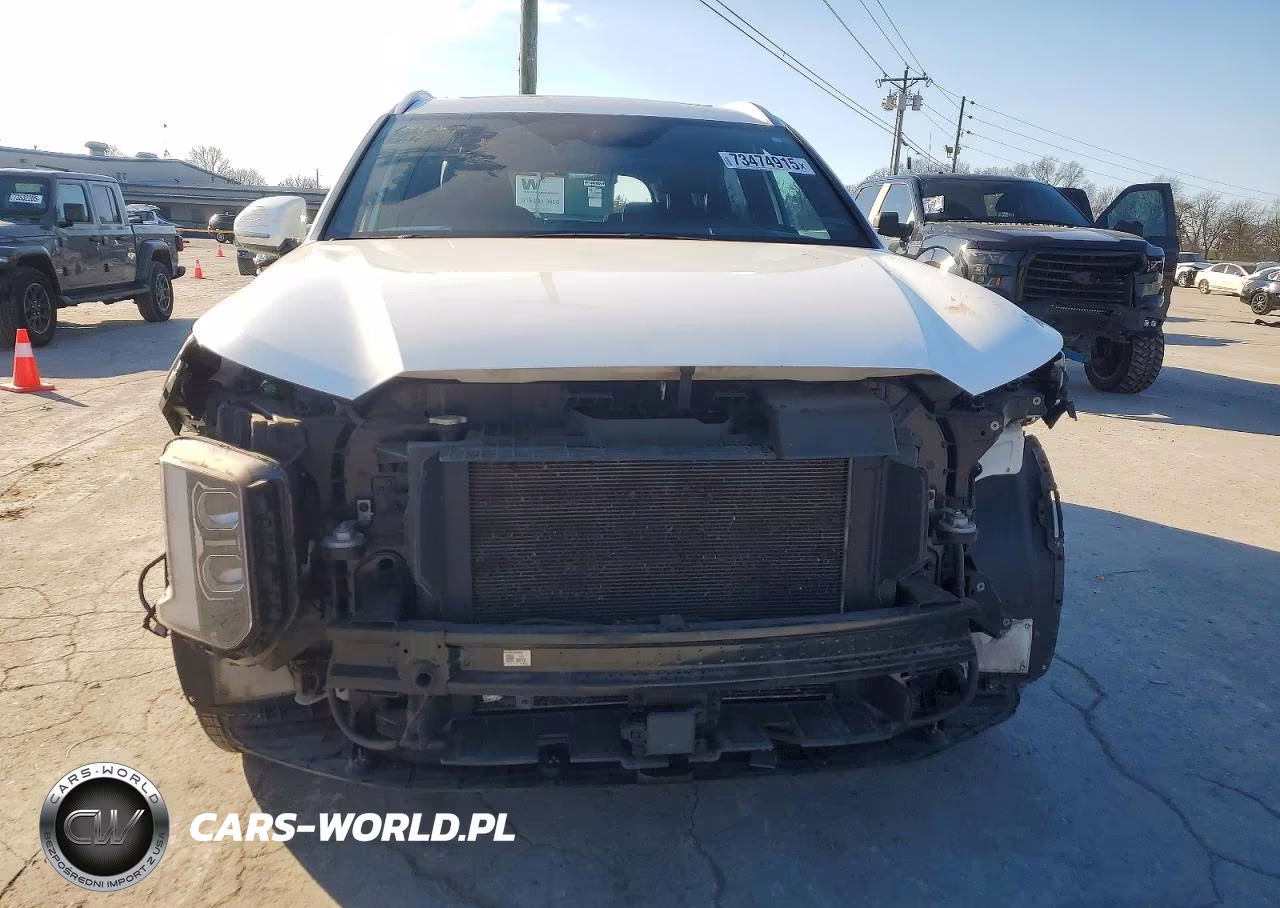 2023 Hyundai Palisade Calligraphy VIN:KM8R7DGE1PU507127 - 5