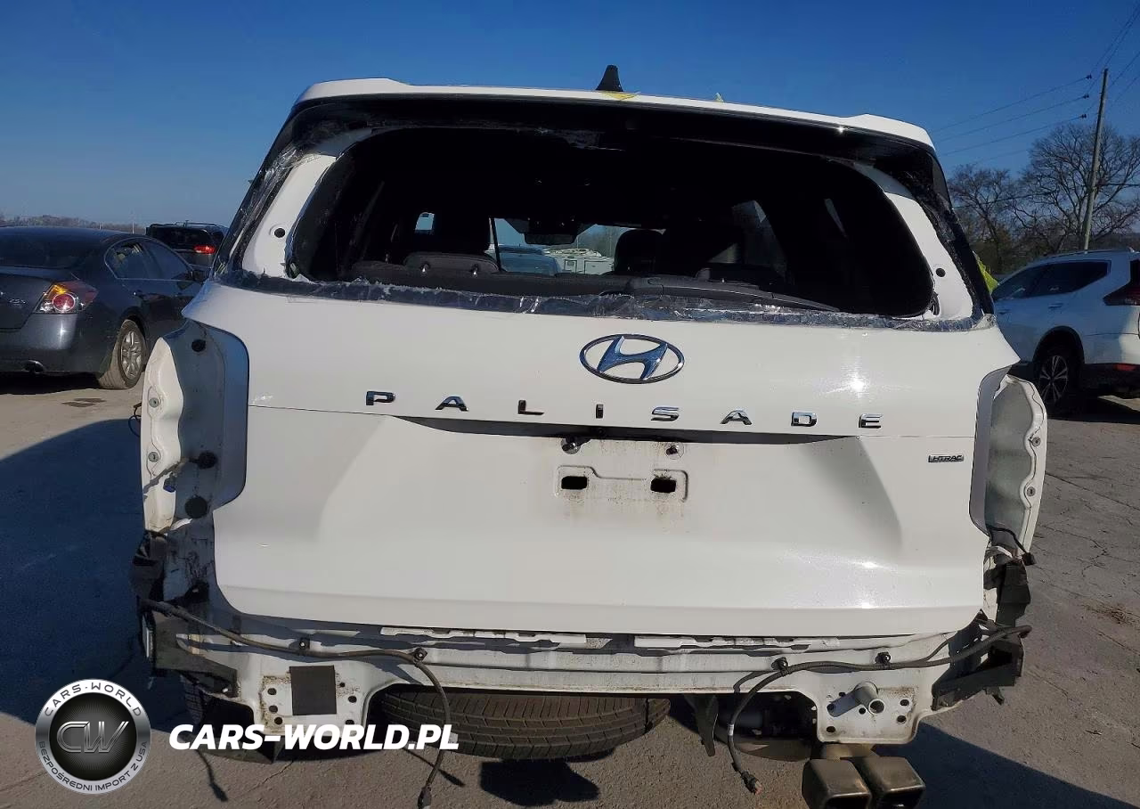 2023 Hyundai Palisade Calligraphy VIN:KM8R7DGE1PU507127 - 6