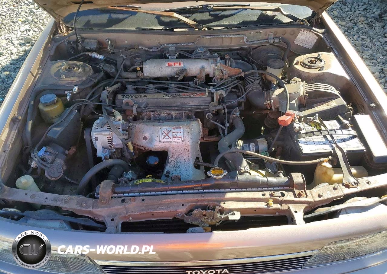 1988 Toyota Camry Le VIN:JT2SV22E3J3283727 - 11